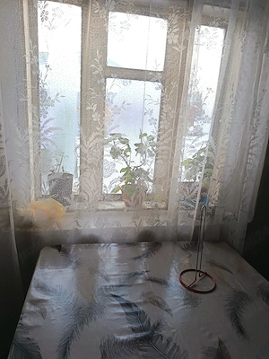 Schimb casă Bârlad cu București sau vânzare - imagine 9