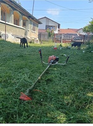 Casă de vânzare Lipănești Prahova  - imagine 2