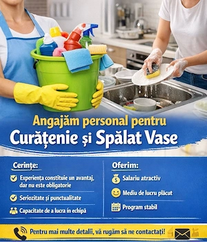 angajam curatiene take ionescu