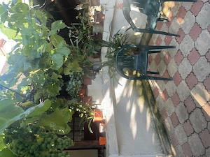 Casa cu 4 camere in comuna Jamu Mare, Timiș - imagine 9