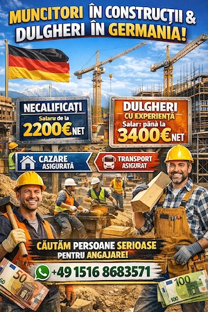 Angajez muncitori necalificati si dulgheri in Germania
