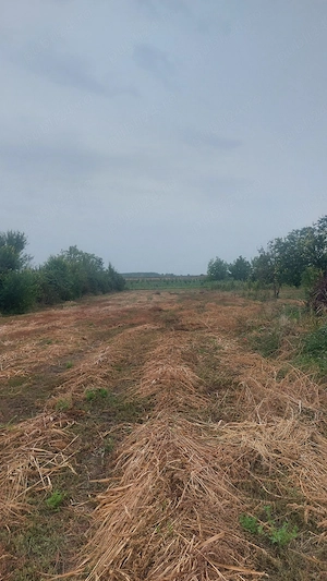 Teren Intravilan 1846 mp, sat Malaiest, comuna Rafov - imagine 7