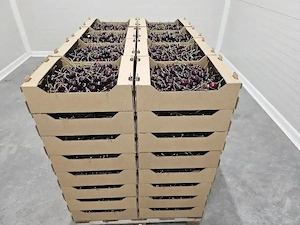 De vanzare agricultura pomicultura oportunitate platforma agro industrială ferma agricola  - imagine 6