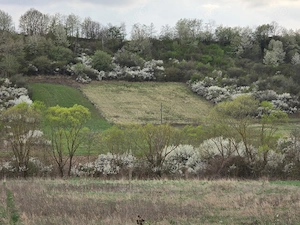 Vand teren Hidișelu de Sus