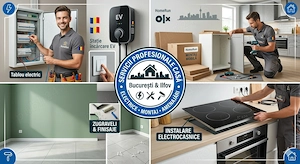 Servicii Profesionale pentru Casa Ta  Zugraveli, Montaj Mobila si electrocasnice,  Electrice și EV