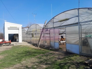 VANZARE TEREN 3100 MP - SAT ROSIORI (IL) - imagine 4