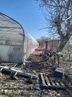 VANZARE TEREN 3100 MP - SAT ROSIORI (IL) - imagine 20