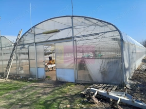 VANZARE TEREN 3100 MP - SAT ROSIORI (IL) - imagine 11