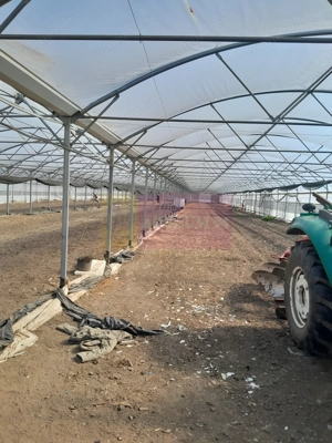 VANZARE TEREN 3100 MP - SAT ROSIORI (IL) - imagine 12