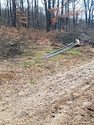 Vand iezi pentru tăiat,200 lei bucata