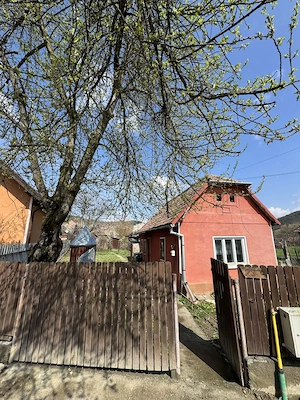 Cssa de vanzare Viforoasa