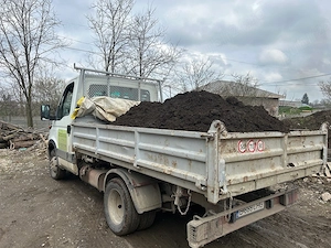 Vand si livrez mranita de bovine