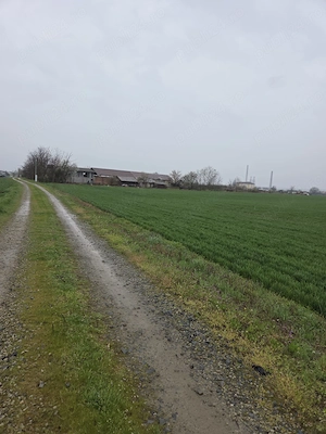 Vanzare teren intravilan Isalnita, 1900mp - imagine 3