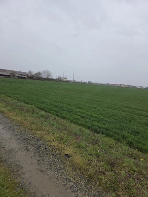 Vanzare teren intravilan Isalnita, 1900mp