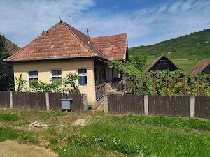 Casă de vânzare în satul Moișa  - imagine 5