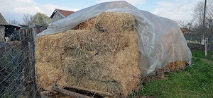 Vând baloți 14 Ron 