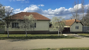 Vand casa in comuna CURTEA, JUD. TIMIȘ