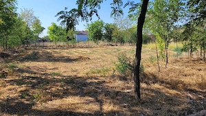 Vand casa Tudor Vladimirescu Braila, 15min de oras - imagine 3