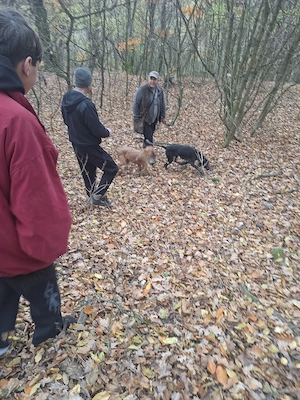  Vand caine dresat pentru  si trufe proaspete de sezon  - imagine 2