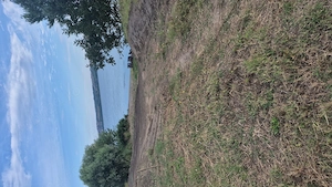 Vand teren cu vedere la Dunăre (negociabil)