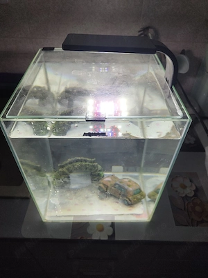 Acvariu sticlă 25 L 