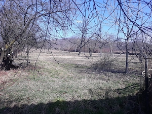 Casa de vanzare comuna popesti  bihor - imagine 6