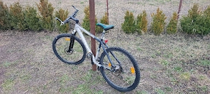 Mtb pret neg