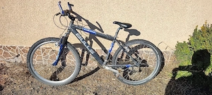 Mtb Bulls stare buna