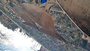 vand plug goizin - imagine 2