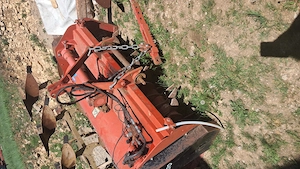 tocatoare crengi - imagine 2