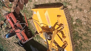 tocatoare crengi - imagine 3