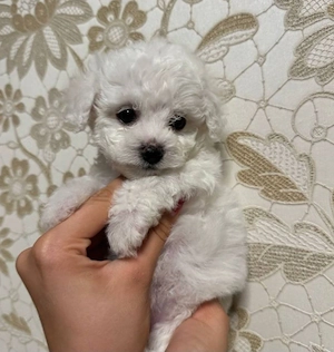 Cel mai frumos cadou!  - imagine 2