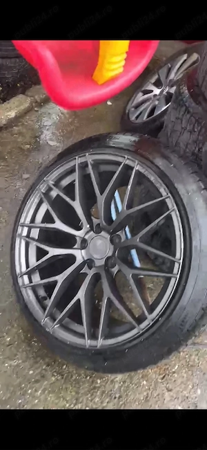 Jante zito - imagine 3