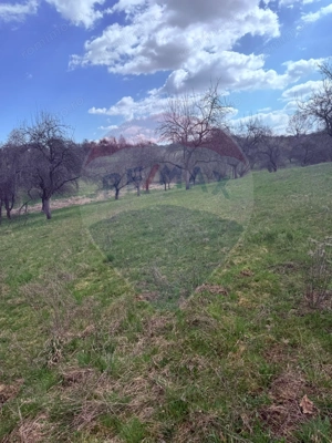 Teren 6,377mp Harnicesti / Strada Principala - imagine 4