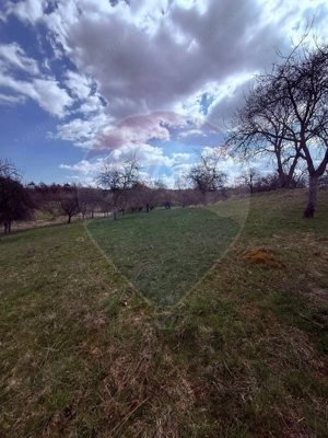 Teren 6,377mp Harnicesti / Strada Principala - imagine 2