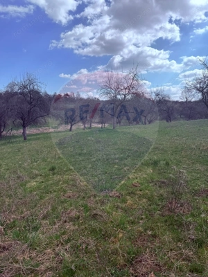 Teren 6,377mp Harnicesti / Strada Principala - imagine 5