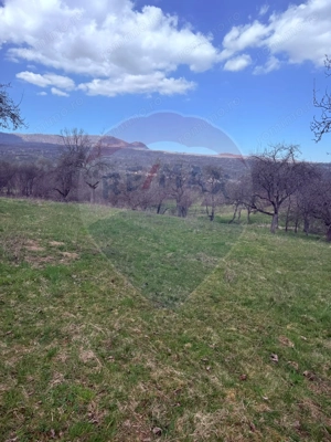 Teren 6,377mp Harnicesti / Strada Principala