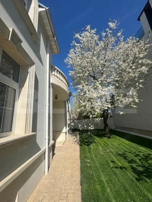 Vilă, 6 camere, 520 mp, zona Titulescu  - imagine 5
