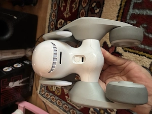 Loona Robot - imagine 2