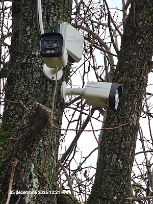 Casa zona linistita Campulung Valea Barbusii totate ulitatile, incalzire dubla 3500 mp teren - imagine 3