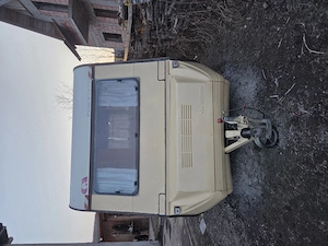 Rulota adria inmatriculata