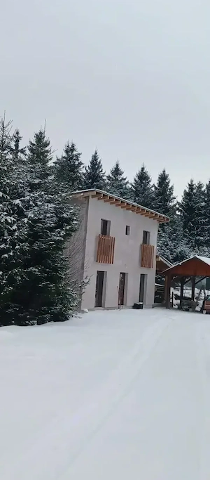 cabana de închiriat - imagine 4