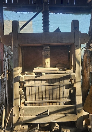 piesa muzeu presa struguri