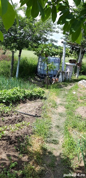 Vand casa batraneasca cu teren mare sat Tarsa, com Stangaceaua, jud Mehedinti