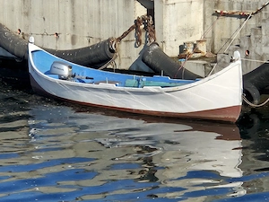 lotcă 6.90m 21 crevace - imagine 2