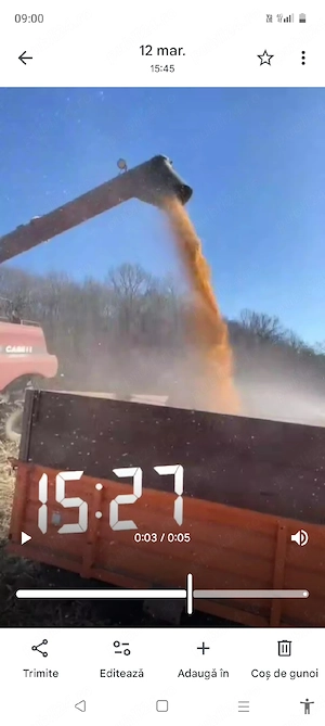 de vânzare porumb - imagine 2