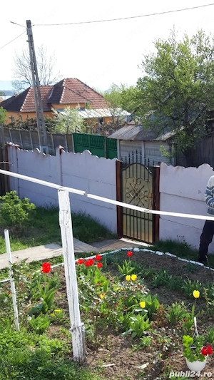 Vand casa batraneasca cu teren mare sat Tarsa, com Stangaceaua, jud Mehedinti - imagine 3