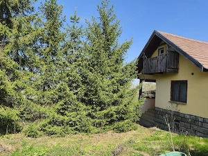Casă+ livadă de vânzare pe viile dealul Budiului Mic 