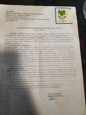 Un hectar de padure de gorun,fag și stejar - imagine 2