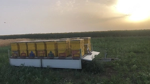 Remorcă auto 2700 kg cu prelată demontabilă și troliu – 4000€ sau schimb cu ATV - imagine 5